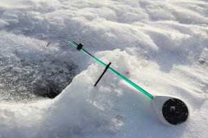 IMG_24391.JPG