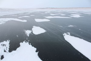 IMG_24451.JPG