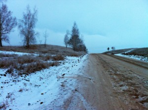 IMG_5152.jpg