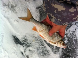 IMG_5155.jpg