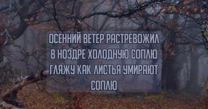 1385493128_1385438941_51.jpg