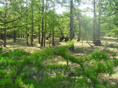 P6127614.JPG