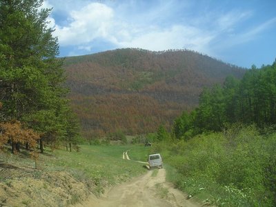 P6127671.JPG
