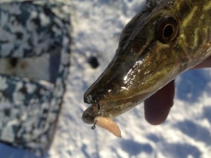 IMG_0848.JPG