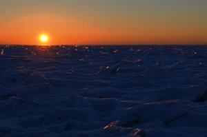 DSC_0194.JPG