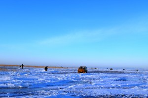 DSC_0251.JPG