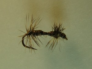 doublefly18.JPG