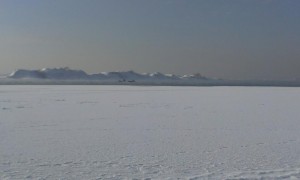IMAG0563.jpg