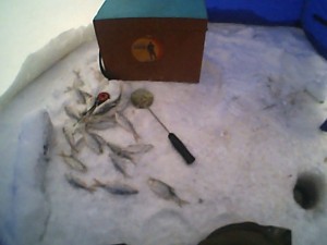 PICT0292.JPG