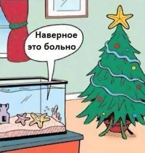 getImage (1).jpg