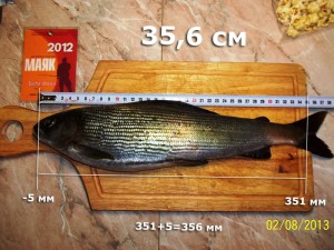хариус-Sasha-Drewa-356.jpg