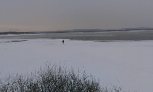 IMAG0611.jpg