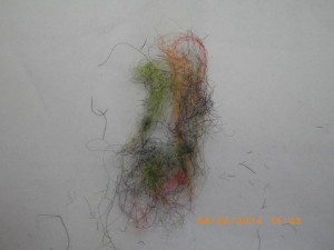IMGP2158.JPG