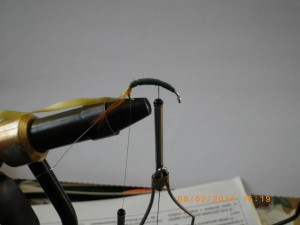 IMGP2170.JPG