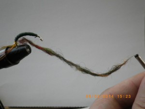 IMGP2173.JPG
