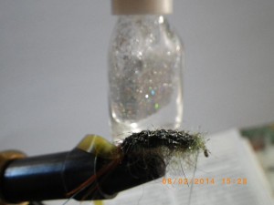 IMGP2176.JPG