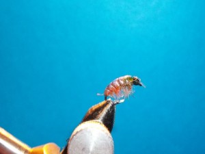 100_3344.jpg