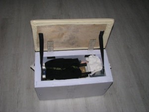 IMG_0116.jpg
