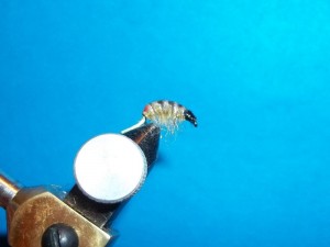 100_3531.jpg