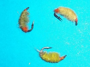 100_3643.jpg