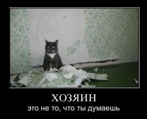4014.jpg
