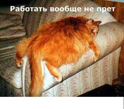 a1d2c3d3ea24d94a1c586ed755bdead8.jpg