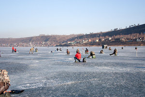 IMG_5626.jpg