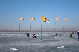 IMG_5640.jpg