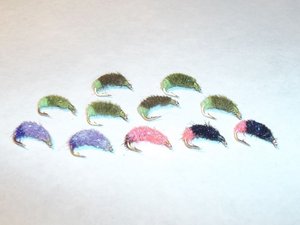 100_3855.jpg