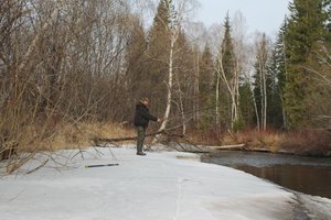 IMG_9990.JPG