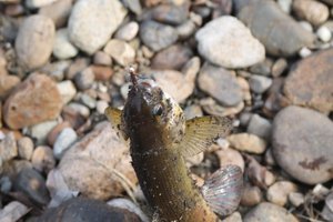 IMG_9999.JPG