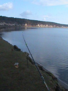 DSC00662.JPG