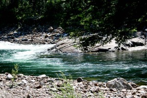 IMG_05791.jpg