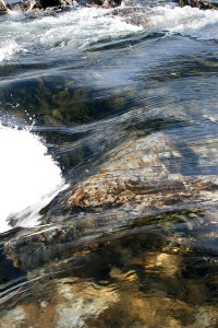 IMG_06601.jpg