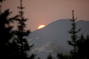 IMG_8534.jpg