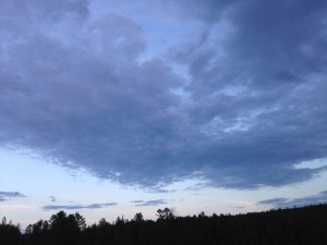 getImage (13).jpg