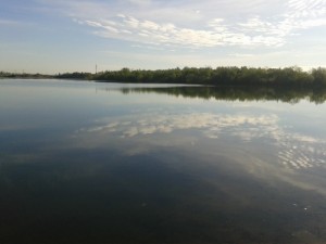 20140605_090201.jpg