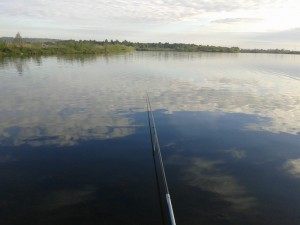 20140605_074852.jpg