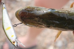 IMG_8746.JPG