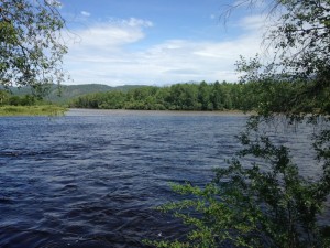 IMG_1558.jpg