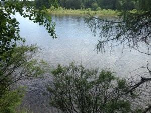 IMG_1567.jpg