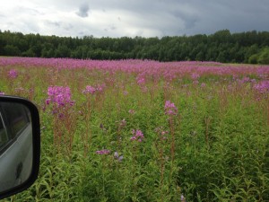 IMG_1577.jpg