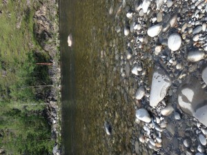 IMG_1582.jpg