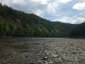 IMG_1575.jpg