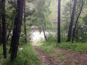 IMG_1581.jpg