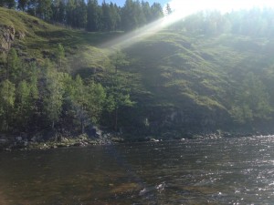 IMG_1597.jpg