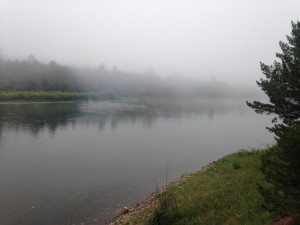 IMG_1662.jpg