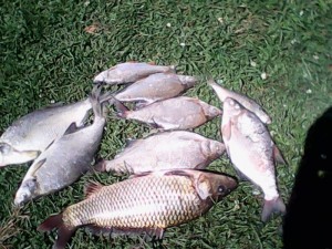 IMG0026A.jpg