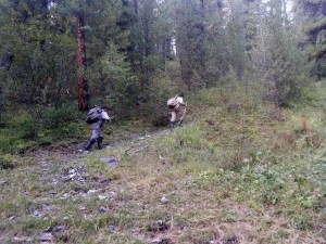 М17.jpg