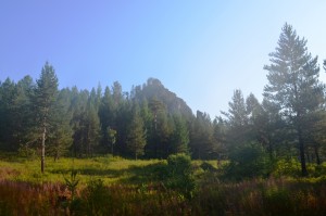 DSC_0141.JPG